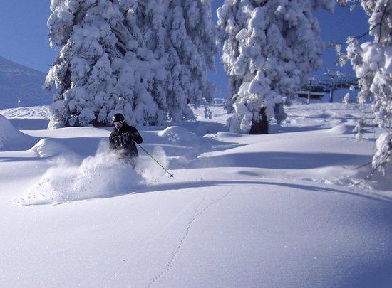 Pro-Skischule
